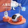 Electric toy, racing car, pet, cat, getting rid of boredom