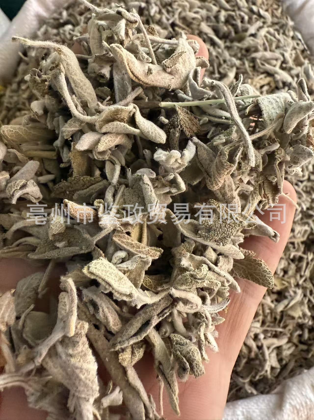 Dried Sage Leaves 500g Salvia officinalis Culinary Herb for Western Cooking and Herbal Tea specifications