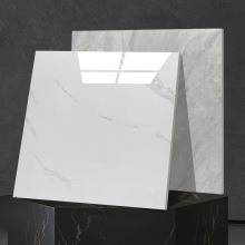 广东佛山瓷砖地砖800x800通体600x600地板砖客厅抛釉防滑磁砖卧室