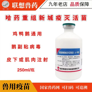��ș�ؽM�³�������250ml���Z��ճ�����u���������Z��������ͨ��