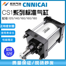 ��׾���׼����CS2FN125CS1BN140/160-50-75-100-150-200CDS1 B