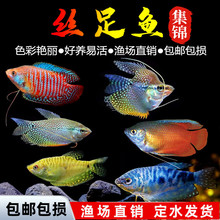 �����~�Ꭷ�^�p�~�S�����{�������Ѫ�����R������wС�͵�ˮ�~