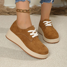 ��a�ɸ���ϵ�ЬŮ2026���¿��׆�Ь���Kһ�_�ő��˘���Ь�F؛