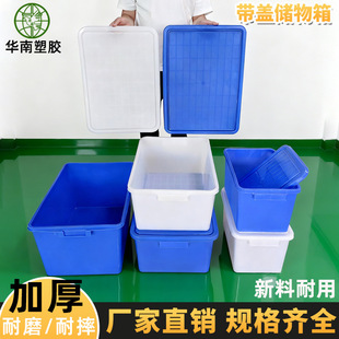 ���w���D���������ռ{�䎧�w�����ռ{�������������Ӵ�̖������