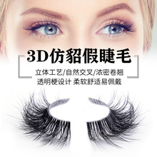 ����5D��ˮ����ë͸������ܛ�������w�ٽ�ë�F؛���lһ���b�۽�ë