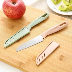 Stainless steel fruit knife, fruit knife for home, kitchen mini creative fruit knife, peeling knife, portable small knife