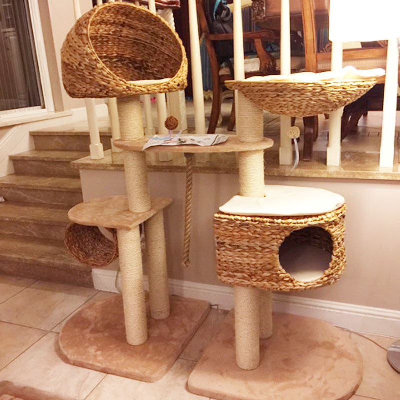 Hoja de plátano trenzado gran gato trepando gato árbol gato trepando gato trepando gato saltando gato agarrar tablero gato columna de seda