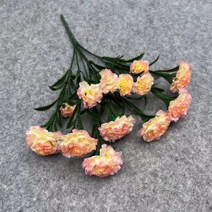 �S�����l����ܰ���滨ĸ�H���̎��������������ܰ�������Ϲ�����