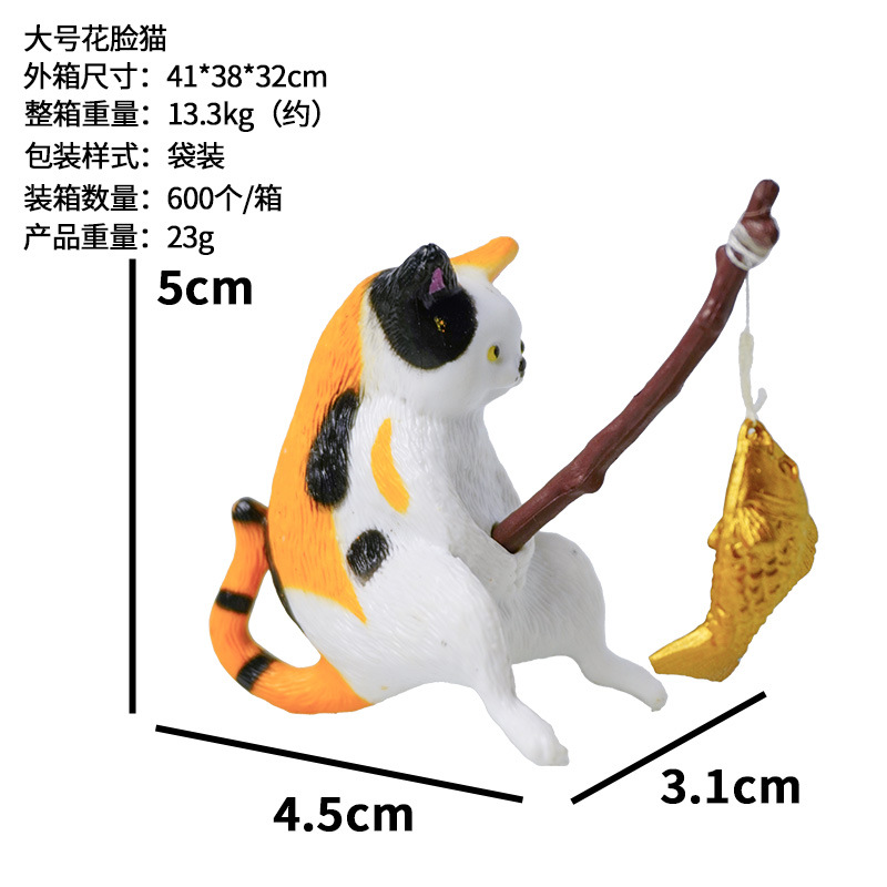 Gato calicó grande.