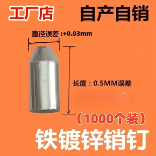 �T���N��F��\�N�ϵ�y�T���Nᔔ����T���N�1000���b