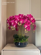 逼真手感蝴蝶兰假花花艺绢花花轻奢高品质感客厅装饰