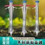 移栽手拉种植园艺工具