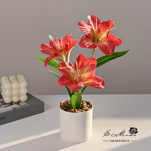 ���^�ٺ�С�辰�Ҿ��b��҃�����[���zӰ��������Gֲ�辰���滨