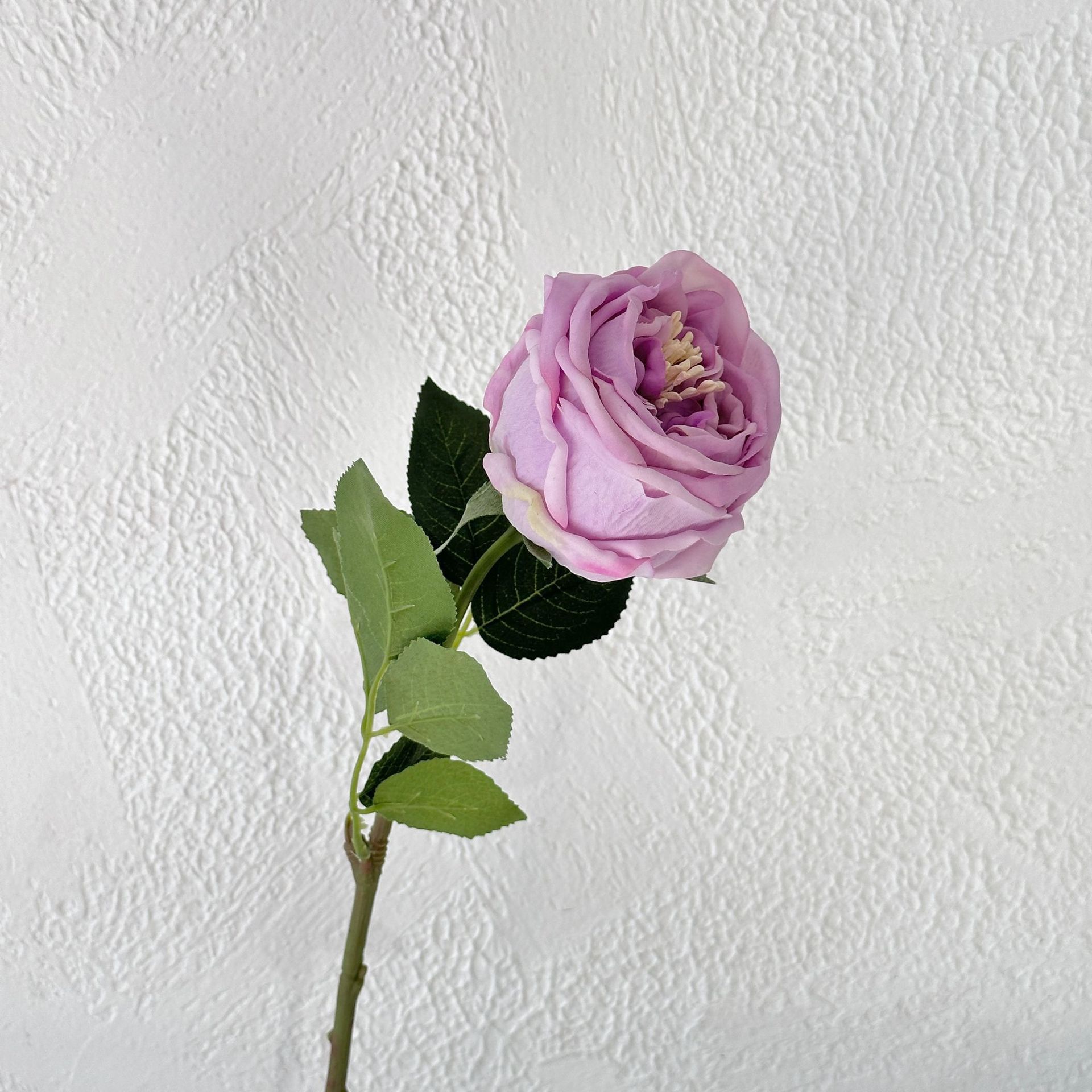 Toque Lila otin Rose