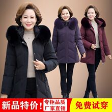 �ߙn��q��Ů���L�������ꋌ���b2025�궬���¿�Ӻ�ů�\����Ů