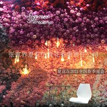 ���滨���l ����õ�岼�׻��� ��c����Ӱ�Ƿ��滨�������ٻ��b�