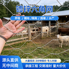 不锈钢小六角网精密小孔婚礼装饰网工业装饰防腐耐磨镀锌拧花网