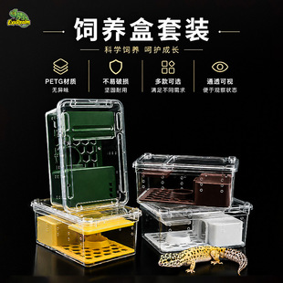 �����н޽��،mR����B�����b������ʳ���������׹������b