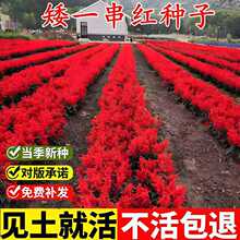 ��һ���t���N�Ӹߴ��t���̼t���⻨�����^�̨�����׷Nֲ���ܷN��