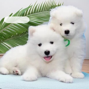 ���N�_ĦҮѩ��Ȯ��Ȯ���w�������������o�lȮ����Ȯ��HȮ�Ѿ�Ȯ