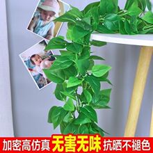 仿真藤条绿萝叶装饰绿藤假树叶藤蔓塑料花藤水管道遮挡空调绿叶花
