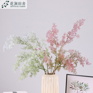 �����Fڡֲ�q���R�ɻ�cֲ�����ϾGֲ�b�ײ廨���컨�ٻ��Gֲ