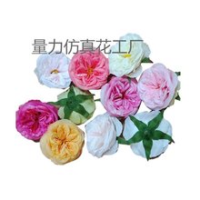 ����ɽ�軨 ������cDIY���ļٻ��b��������Ʒ��������õ�廨