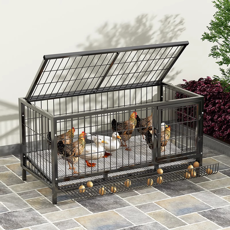 ルチン鶏飼育箱、屋外鶏小屋、鳩捕獲品、鳩小屋、鶏とアヒル専用屋外自動集卵器|undefined