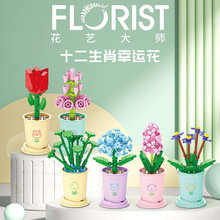 ���Ի��eľ���ݘ��߷��滨��ƴ�b��ߔ[��õ�廨Ů�����նY�����l