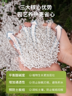 Perlite vermiculite large particle flower cultivation general nutrient soil fleshy orchid planting seedling expansion insulation plant matrix