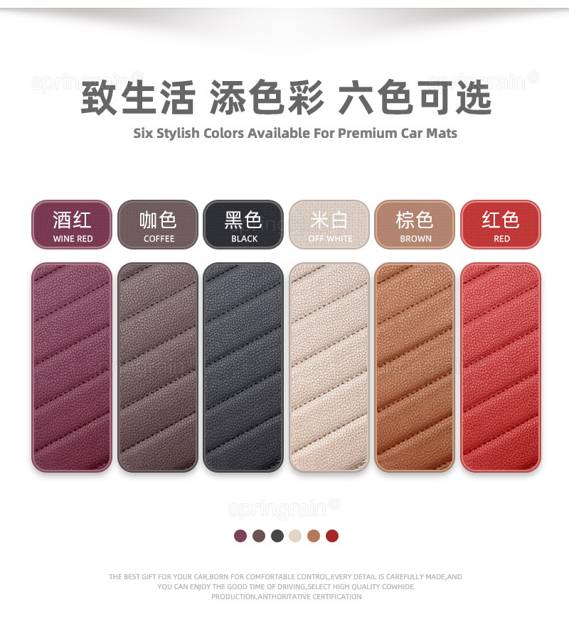 Leapmotor C10 C11 B10 B01 C16 Lafa5 A10 D19 C01 Genuine Leather Full Surround Car Floor Mats