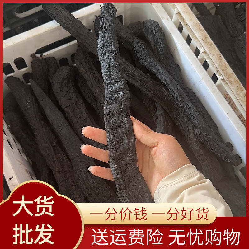 产地直供内蒙古阿拉善荒漠肉苁蓉秋季药食同源整根软大芸大量批发
