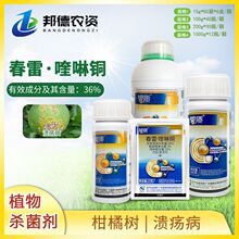 �����|36%��������~������٘�kui���������β�ֲ���rș������