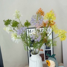 3�^�m�黨���滨�ٻ����������c�廨�Ƶ��b�Y������������