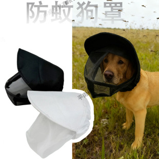 ���ù�������͸����o�漆��ֹ����؈���沿�܂��y�ԑ�����^��