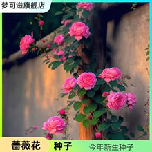 �Nޱ���N�ӷN���ļ��ذ��_���¼��̨����ֲ��õ��ͥԺ���ܷN��