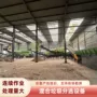 城市生活混合物料生活风选机