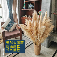 ��Ȼ��Ȕ�ɻ����廨�����b�c��ˇ�쾰�JȔ�ݻ���ؔ[��