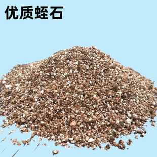 ���l���Sɫ��ʯ�@ˇ��ʯ��������Nֲͨ��3-6mm ��Û���w����ʯ��