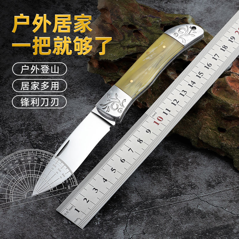 折叠刀不锈钢户外小刀折叠刀多功能迷你小刀随身钥匙扣水果刀