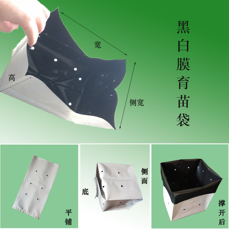 2022.5.18黑白膜育苗袋