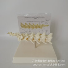 ���Ｙ���̌Wģ��һ��һ߀ԭ����׵�t�W�̌W/�����o���؂����