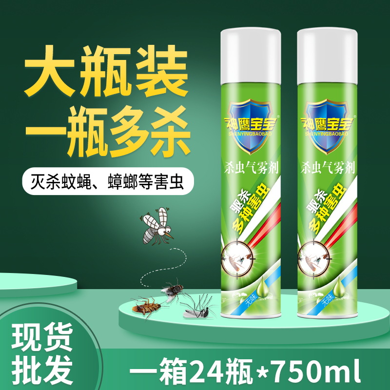Insecticide aerosol household spray indoor flies