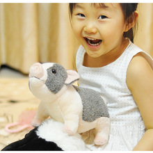LEOSCO儿童节日礼物玩具PP棉仿真动物毛绒公仔10in小猪猪玩偶