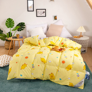 Kindergarten quilt children's cartoon cotton printing double layer anti-velvet down quilt shell wholesale