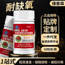 厂家现货红景天葛根五味子软胶囊耐缺氧高原旅游缺氧环境一件代发