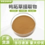 水溶儿菜竹鸡提取物