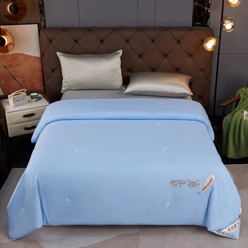 Cross-border quilt core silk quilt with thick winter quilt high-end pure handmade mulberry silk summer quilt for student dormitory spring and autumn quilt