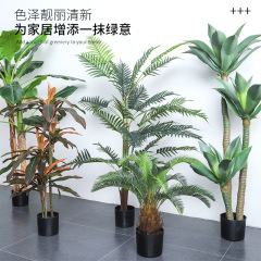 仿真鳳尾葵綠植植物盆景造景 北歐仿真假樹盆栽擺件樹客廳散尾葵