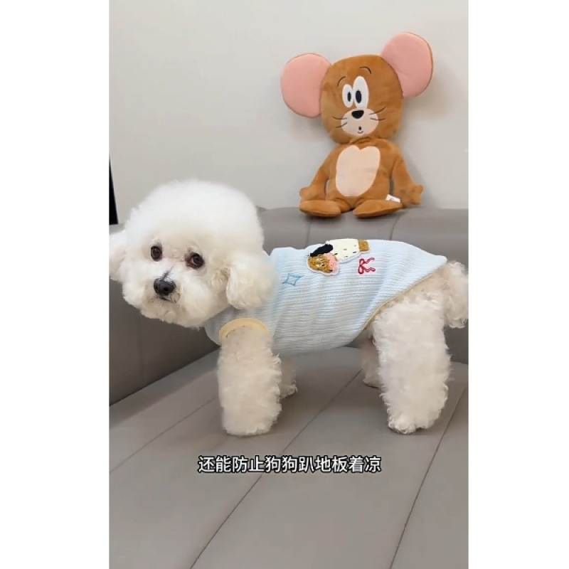 블루 닥스훈트